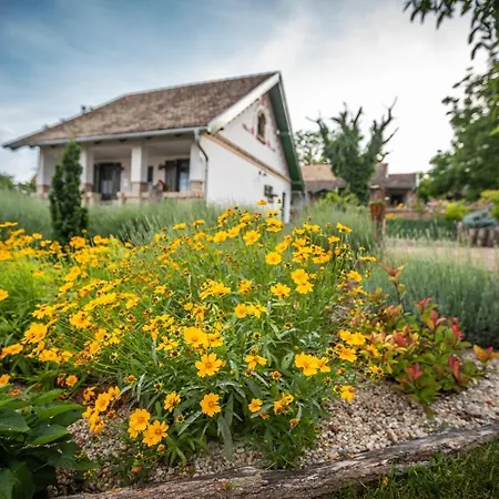 Provence Birtok Отель