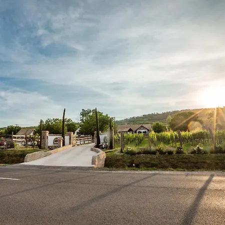 Otel Provence Birtok Decs