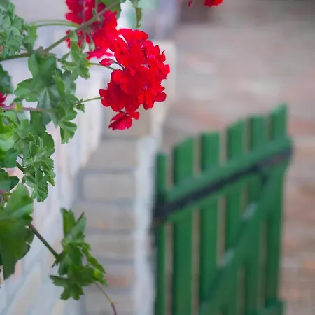 Provence Birtok Otel 2*