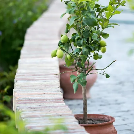 Hotel Provence Birtok