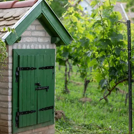 Provence Birtok Decs