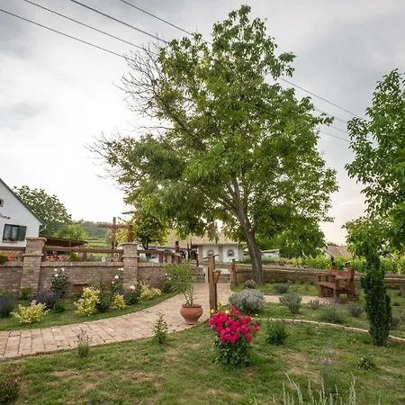 Отель Provence Birtok Decs