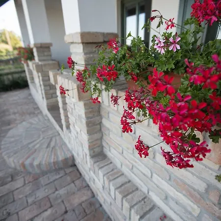 Отель Provence Birtok Decs