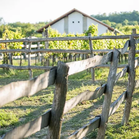 Provence Birtok 2*