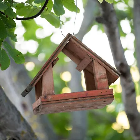 Provence Birtok 2* Decs