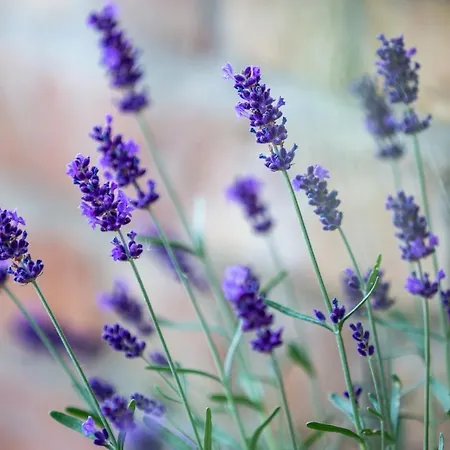 Provence Birtok Отель