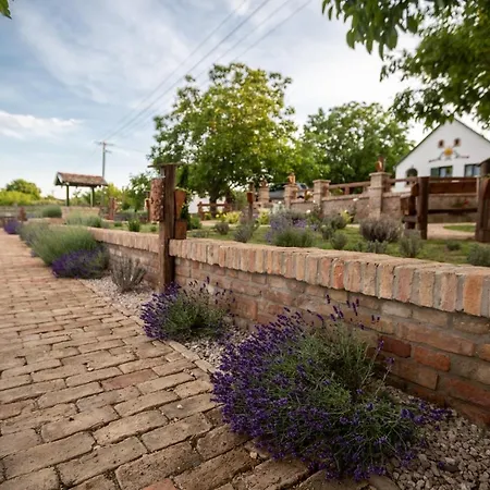 Отель Provence Birtok Decs