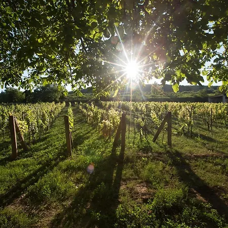 Provence Birtok Отель