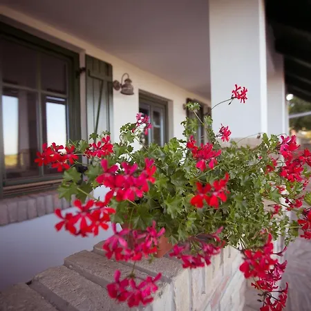 Отель Provence Birtok 2*