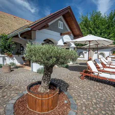 Provence Birtok Decs