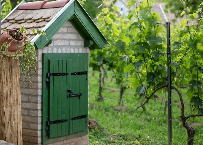 Provence Birtok Decs