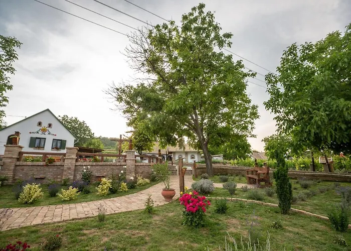 Hotel Provence Birtok Decs