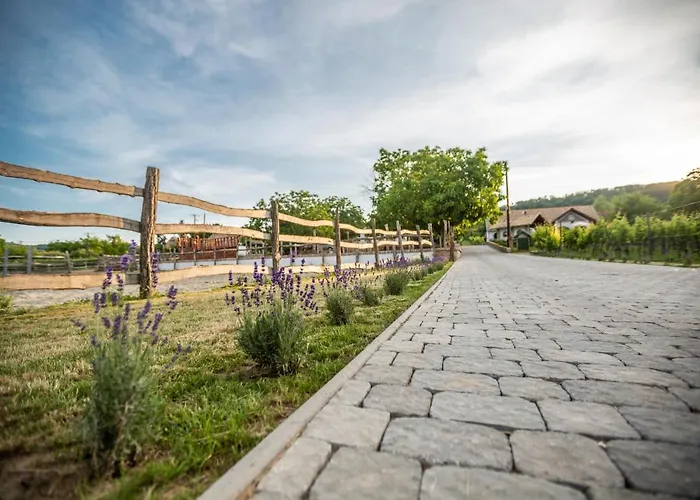 Provence Birtok Hotel