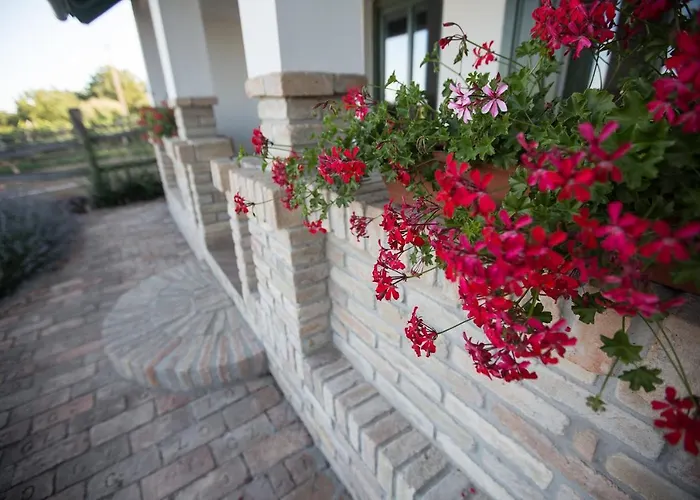 Hotel Provence Birtok Decs