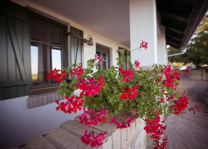 Hotel Provence Birtok 2*