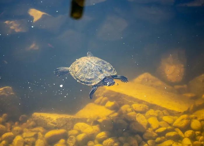 Hotel Provence Birtok