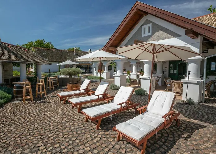 Provence Birtok Hotel Decs